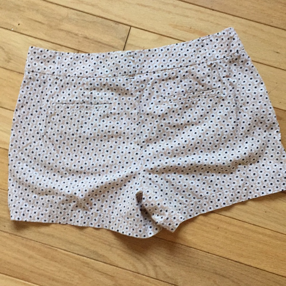 Loft 4” Riviera Shorts - Picture 2 of 5